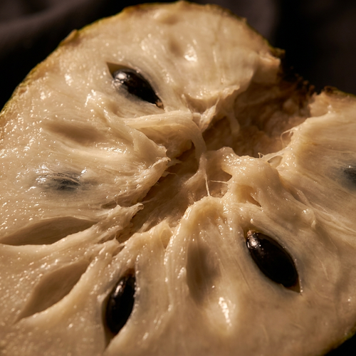 Soursop